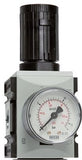 Image en vedette de la collection - Pressure Regulators Futura 2, 3/8 - 1/2 Inch, 5200 L/min