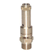Non-Adjustable Gas Safety Valves