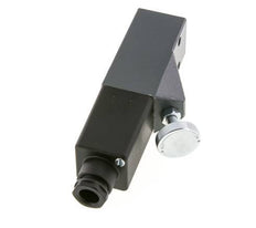 Pressostat en aluminium SPDT 2 à 20bar G1/4'' 250VAC Terminal à vis