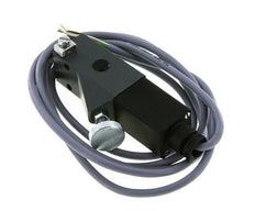 Pressostat aluminium SPDT 20 à 100bar G1/4'' 250VAC/DC Câble 3 fils 2m