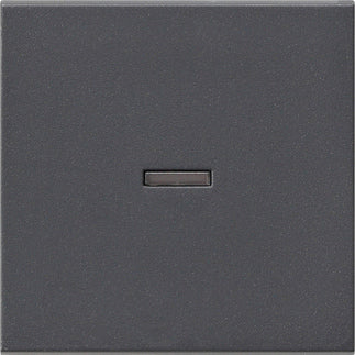 Gira System 55 Control Element/Central Plate Switchgear - 029028