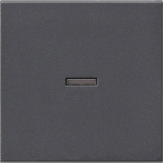 Gira System 55 Control Element/Central Plate Switchgear - 029028