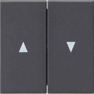 Gira System 55 Control Element/Central Plate Switchgear - 029428