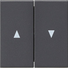 Gira System 55 Control Element/Central Plate Switchgear - 029428