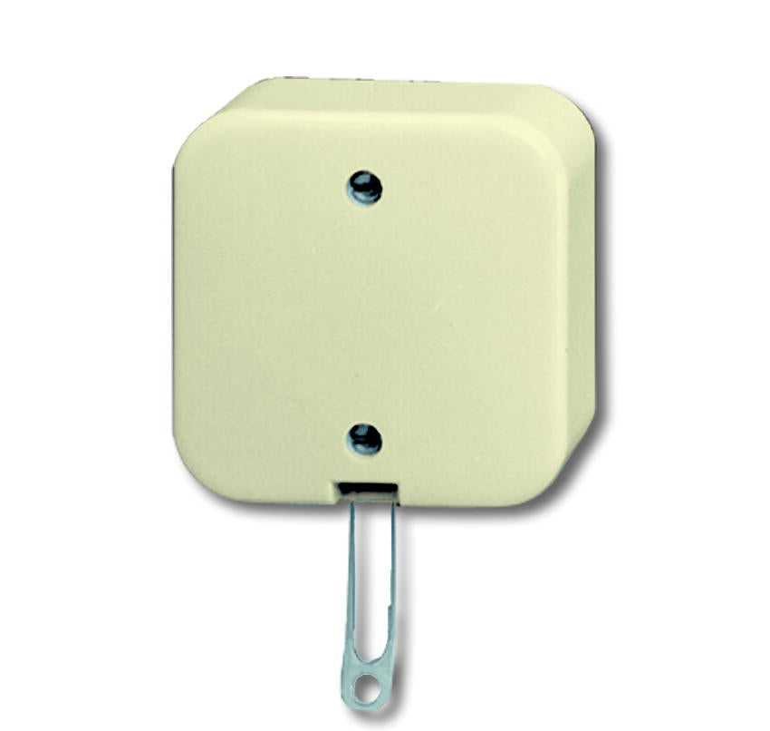 ABB Busch-Jaeger Installation Switch - 2CKA001343A0136