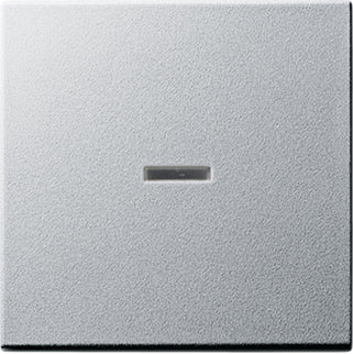 Gira System 55 Control Element/Central Plate Switchgear - 029026