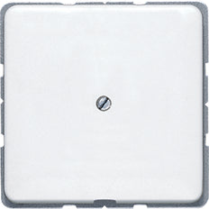 Jung CD500 Insert Plate Switchgear - CD590AWW