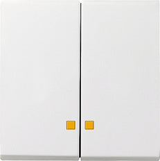 Gira System 55 Control Element/Central Plate Switchgear - 063103