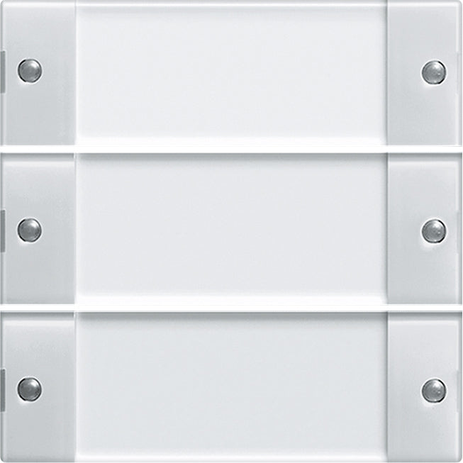 Gira System 55 Control Element/Central Plate Switchgear - 213303