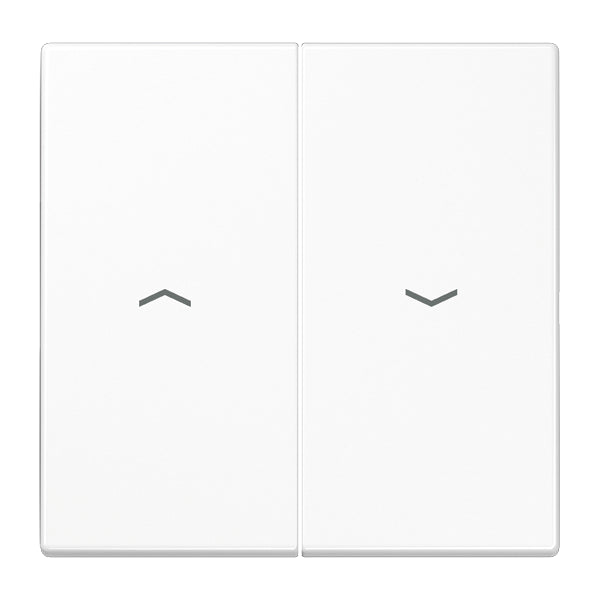 Jung LS990 Control Element/Central Plate Switchgear - LS995PWW