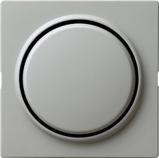Gira S-Color Control Element/Central Plate Switchgear - 029642