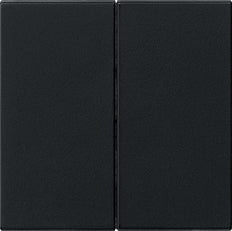 Gira System 55 Control Element/Central Plate Switchgear - 0266005