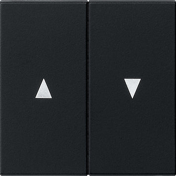 Gira System 55 Control Element/Central Plate Switchgear - 0294005