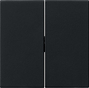 Gira System 55 Control Element/Central Plate Switchgear - 0295005