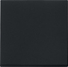 Gira System 55 Control Element/Central Plate Switchgear - 0296005