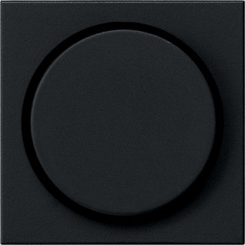 Gira System 55 Control Element/Central Plate Switchgear - 0650005