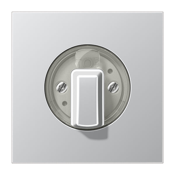 Jung Aluminum/Gold Steel/Chrome Control Element/Central Plate Switchgear - AL1941