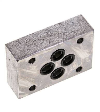 Plaque aveugle NG6 (D03) pour stations inutilisées