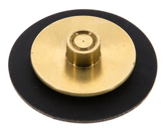 Replacement Diaphragm G1/4'' Water Pressure Reducers S-48RD