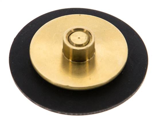 Replacement Diaphragm G1/4'' Water Pressure Reducers S-48RD
