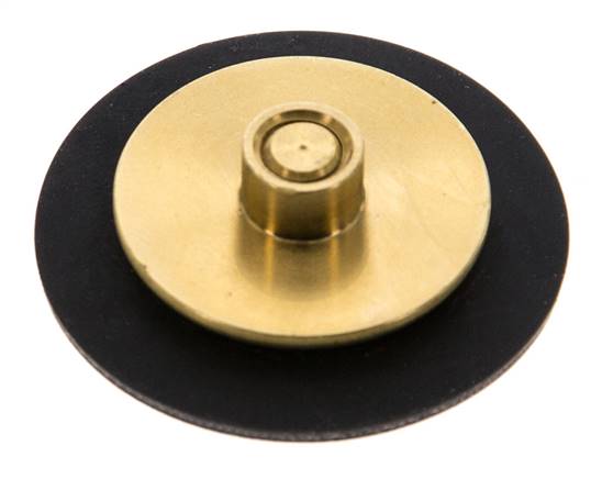 Replacement Diaphragm G1/4'' Water Pressure Reducers S-48RD