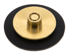 Replacement Diaphragm G1/4'' Water Pressure Reducers S-48RD