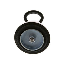 Valve Replacement Kit R 1'' and R 11/4'' 1.5 - 6bar Braukmann