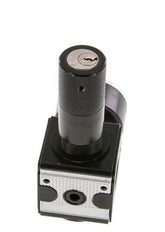Régulateur de pression G1/4'' 2100l/min 0.1-3.0bar/1-44psi Corps en zinc moulé sous pression Verrouillage du cylindre Multifix 1