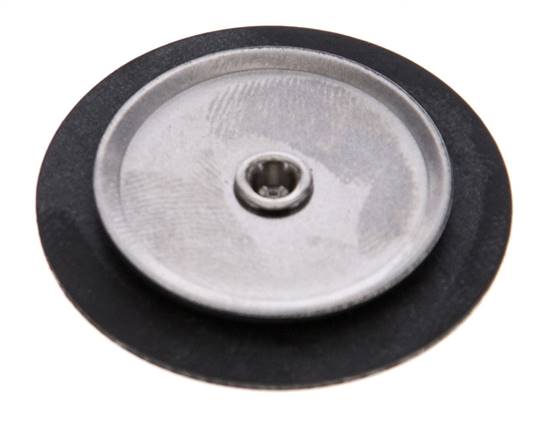 Replacement Diaphragm Gases and Liquids FKM 1/4''