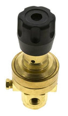 Pressure Regulator 1/4'' NPT 490 l/min 3.0-50.0bar/44-725psi Brass