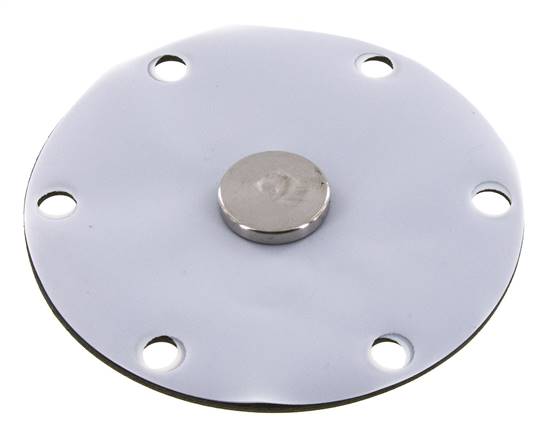 Replacement Diaphragm Gases and Liquids PTFE/NBR 1'' Stainless Steel