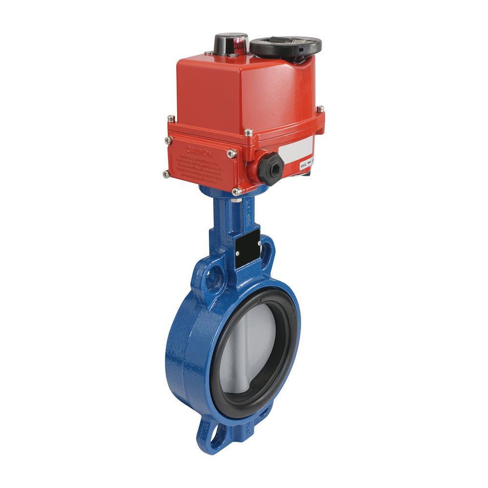 Electric Butterfly Valve DN50 120-240V AC/DC Lug GGG40 FKM AG5