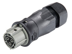 Wieland RST25I3S B1 ZR3SV BG03 Connecteur - 96.031.4554.3 [100 Pièces]