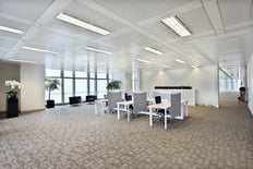 Philips Master Led Tube T8 14W 1200mm Haute Sortie 4000K - 8719514466845