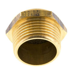 Silencieux Pneumatique Compact en Laiton NPT 1'' 1.4301 Maille Métallique