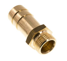 G 1/2'' Mâle X 19mm Laiton Raccord De Tuyau 16 Bar