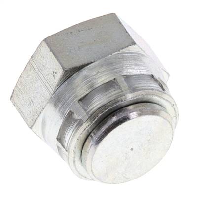 Capuchon d'extrémité G3/8'' en acier avec cône hexagonal externe 60° 425bar (5971.25psi) hydraulique [2 pièces].