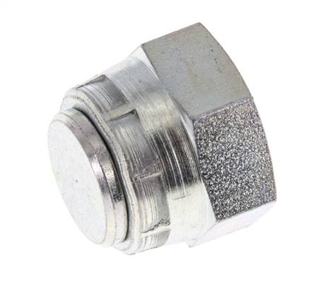 Capuchon d'extrémité G3/8'' en acier avec cône hexagonal externe 60° 425bar (5971.25psi) hydraulique [2 pièces].