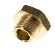 G 1/8'' Bouchon de fermeture en laiton avec Hexagone extérieur 16 Bar [10 Pièces].