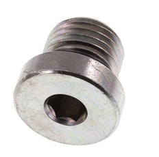 Bouchon M14 X 1.5 Acier NBR avec Hexagone Interne 400bar (5620.0psi) [2 Pièces]