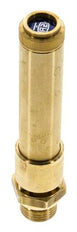 G Soupape de sécurité préréglée en laiton 1/2'' 40,5 bar (587,41 psi) DN 10
