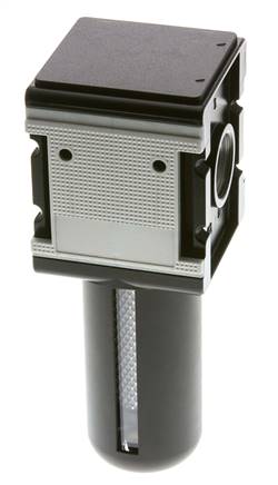 Filtre à charbon actif G1'' 3000l/min Cage de protection semi-automatique Polycarbonate Multifix 4