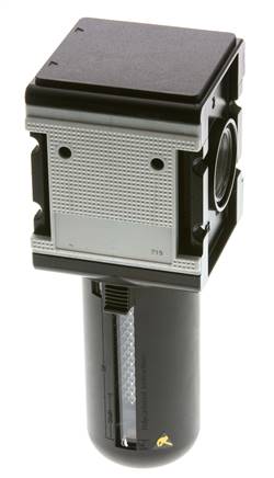 Filtre à charbon actif G1'' 3000l/min Cage de protection semi-automatique Polycarbonate Multifix 4