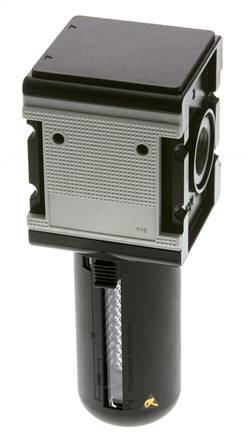Filtre à charbon actif G3/4'' 3000l/min Semi-Auto Cage de protection en polycarbonate Multifix 4