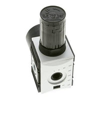 Régulateur de Pression de Précision pour Assemblage de Collecteur G1/4''&3/8'' 2500l/min 0.1-1.0bar/1-14psi PA Futura 1