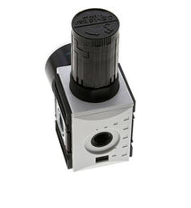 Regulateur de pression pour assemblage de collecteur G1/4''&3/8'' 2500l/min 0.5-16.0bar/7-232psi PA Futura 1