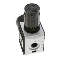 Regulateur de pression pour assemblage de collecteur G1/4'' 2000l/min 0.5-10.0bar/7-145psi PA Futura 1