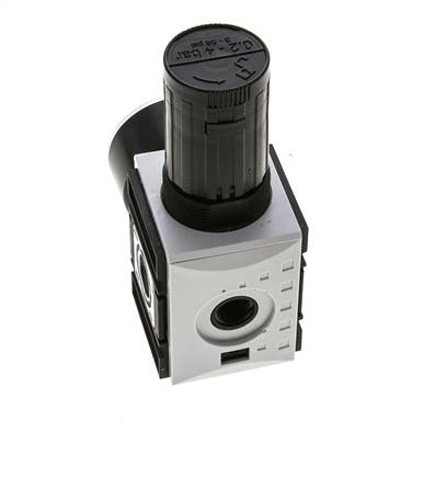 Regulateur de pression pour assemblage de collecteur G1/4''&3/8'' 2500l/min 0.2-4.0bar/3-58psi PA Futura 1