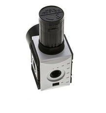 Regulateur de pression pour assemblage de collecteur G1/4''&3/8'' 2500l/min 0.2-4.0bar/3-58psi PA Futura 1