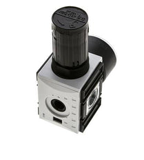 Regulateur de pression pour collecteur G1/4'' et 3/8'' 2500l/min 0.5-10.0bar/7-145psi Futura 1